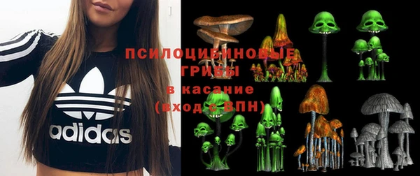 скорость Лагань