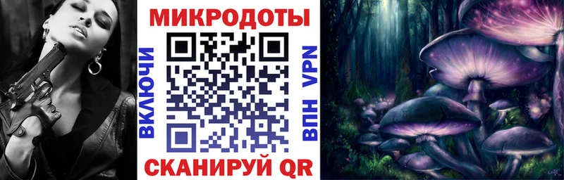 Купить  Карабаново  Галлюциногенные грибы Psilocybe 